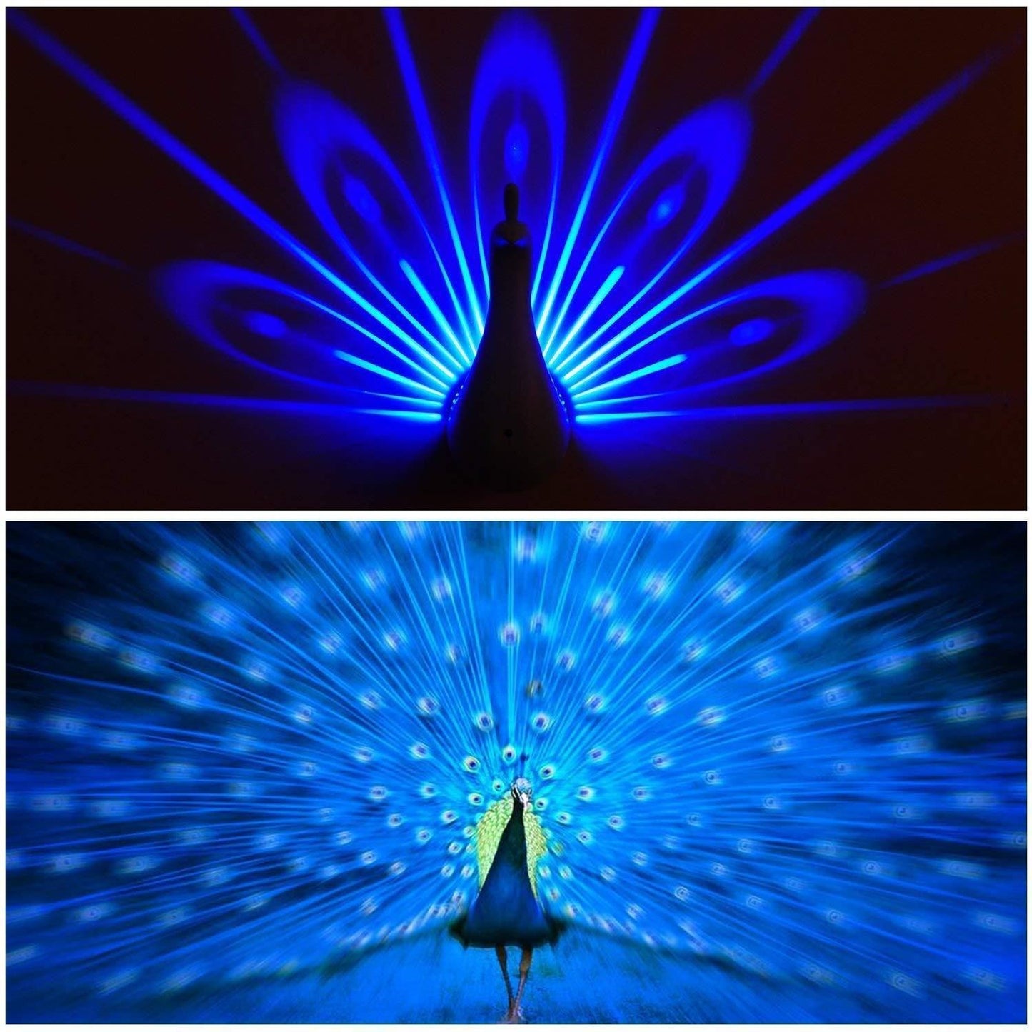 PRECHANA Peacock Lamp Creative Peacock Colorful Projection Wall Lamp, USB Charge Touch Button LED Night Light with Remote Control,Plastic