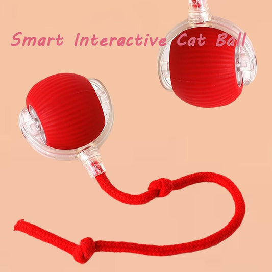 Petblush Rolling ball with Tail