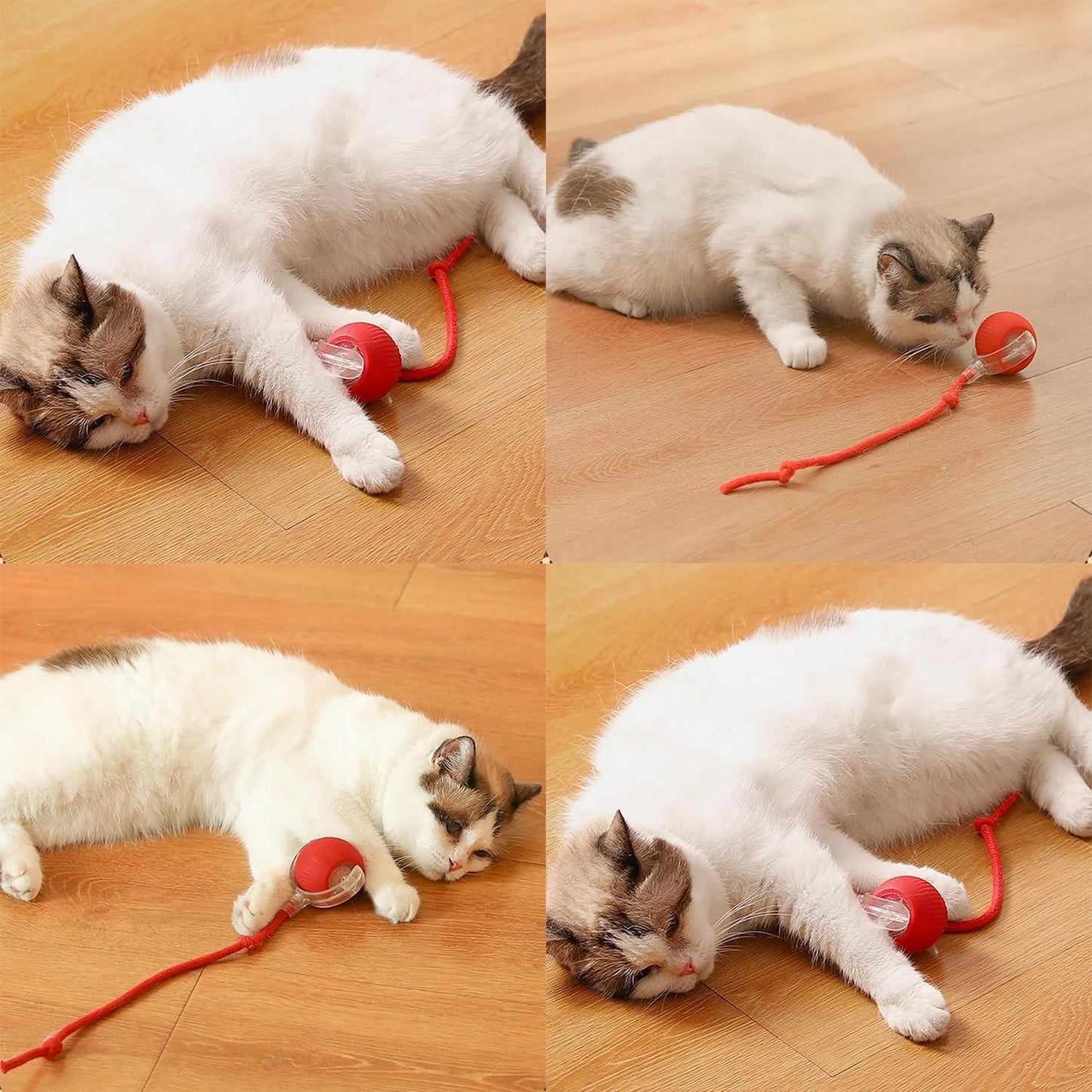 Petblush Rolling ball with Tail